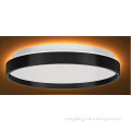 Round Flush Mount Ceiling Lamp With Night Light